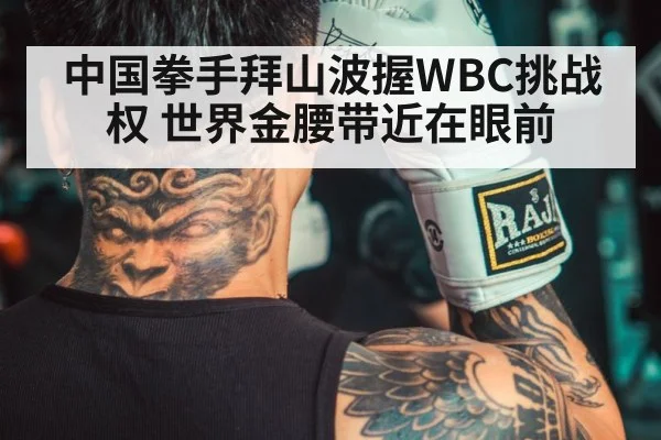 中国拳手拜山波握WBC挑战权 世界金腰带近在眼前