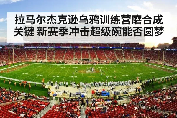 拉马尔杰克逊乌鸦训练营磨合成关键 新赛季冲击超级碗能否圆梦